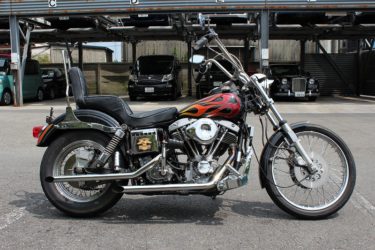1980 FXEF SPECIAL EDITION